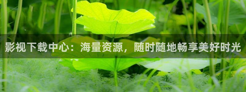 策驰影院电视剧策驰2023：影视下载中心：海量资源，随时随地畅享美好时光