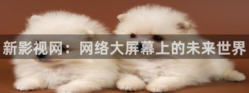 策驰影院电视剧大全：新影视网：网络大屏幕上的未来世界