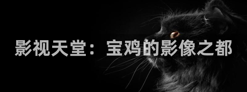 策驰影院策驰电影在线电影电视剧