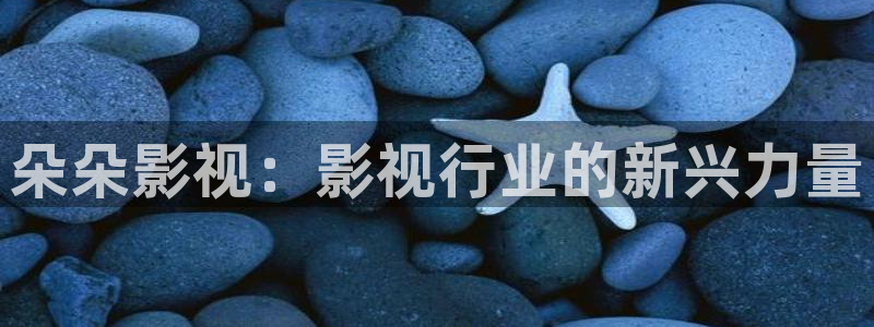 飞虎神鹰电视剧策驰影院：朵朵影视：影视行业的新兴力量
