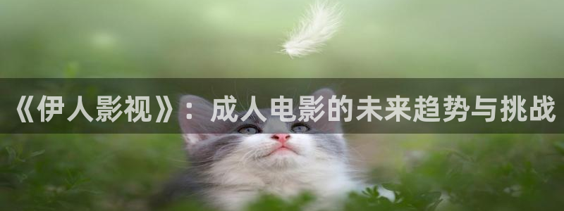 在线免费观看策驰影院：《伊人影视》：成人电影的未来趋势与挑战